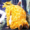기린슈퍼 Daum카페