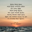 선택 이미지