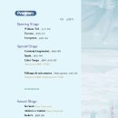 라니아트