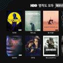 트루웨이브 이미지