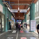 블루라인 | &lt;해운대 블루라인파크_스카이캡슐-미포출발&gt; 후기+예약방법 !