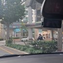 좋은옷집 이미지