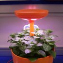 에코가든 이미지