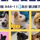 별빛쉼표 이미지