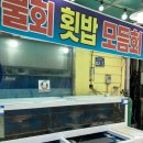 게판회판