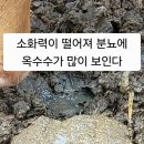 부강 한우 농장 이미지