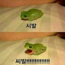 효인약국 이미지