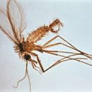 마이펫동물약국 이미지