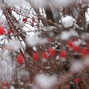 샘머리공원 이미지