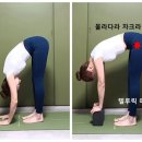 사나바른몸