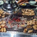 벌떡 장어 이미지