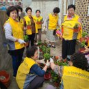 대한노인회 창원시진해지회 | 대한노인회 경남 창원시진해지회, 경화부녀자원봉사단 &#34;독거노인·아동센터 반려식물 전달&#34;