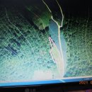 김삿갓면-19 이미지