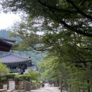 한산사주차장 | 여름휴가 | Day02-03 | 안동 핫플 뿌시기, 봉화 감성숙소 테일즈힐에서 1박2일, 센과치히로와 칸타빌레...