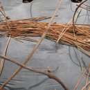 좋은농장 이미지