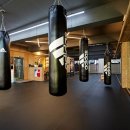 성남 탑 복싱 이미지