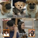 사연농장 이미지