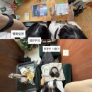 스테이 마넷 이미지