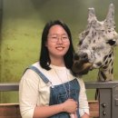 (주)신우메디컬 이미지