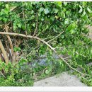 용심농장 이미지