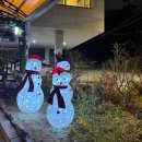 서초대로 71 | 25년 11월 4주 차 일상 - 엘지트윈스, 미리 크리스마스, 호반아트리움, 수원 타임빌라스