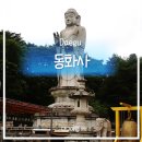 11305-15-493-1 | 대구 동화사 가는법부터 주차까지｜팔공산 동화사 솔직 방문 후기