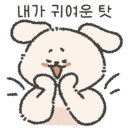 블랑드제이 네이버블로그