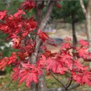 화천용호리펜션 이미지