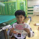 박사태양태권도장 이미지