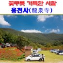 용천사 석등 | 전남 함평여행 - 용천사(龍泉寺) 모악산 꽃무릇