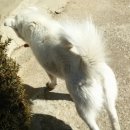 종합가축약품 이미지