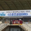 용인대 스포츠클럽 이미지