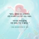 에리얼, 간절히 원하면 이루어질 거야) 전지현 공주 에세이.