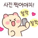 제임스시카고피자(신촌점) 네이버블로그