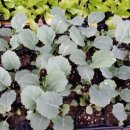 미래농약사 이미지