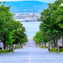 하코다테 - 동구 첨단로 30 | 하코다테