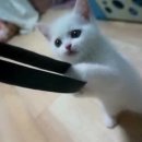 심쿵사