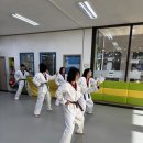 삼송 덕양태권도장 이미지