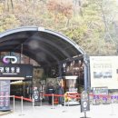 라스코동굴벽화 광명 동굴전 | 경기도 데이트 하기 좋은 곳 광명동굴 ~