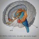 대수도(불안도)