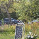 달그리고강 이미지