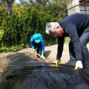 목원농원 이미지