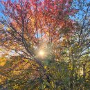 구 영주역 5호 관사 | 영주 근대역사문화거리와 여행의 밤