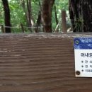 머내과학 공원 이미지