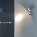 칼리그램