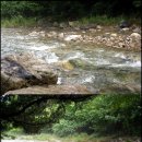 금대리집 이미지