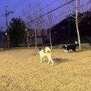 902댕스쿨 이미지