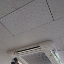 클린스쿨 울산 이미지