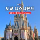도쿄 디즈니랜드 입장권 티켓, 어플 사용법, DPA, 프라이어리티 패스 Priority pass