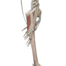 사운드바디짐 이미지